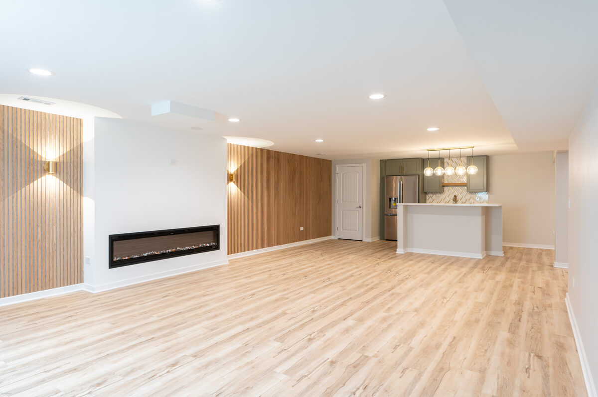 Open Concept Basement